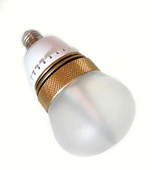 dragon fish bulb