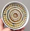 led cluster inside primitive led light bulb
