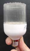 36 LED AC Bulb