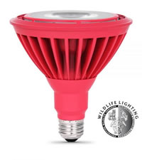 sea turtle friendly red led light bulbs