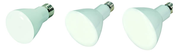 led r20 led r30 led r40