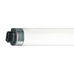 R17D bi-pin