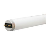 G13 bi-pin