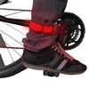 slap it on an ankle