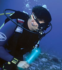 LED safety or dive light