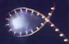 flex led boards