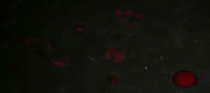 led blood tracker Flashlight