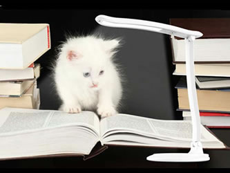 battery operated LED desk lamps