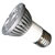 LED PAR bulbs