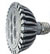 LED Par38 bulbs