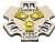 endor LED star light modules