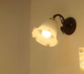 globe shaped led light bulbs