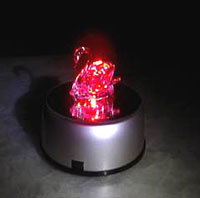 lighted display plate