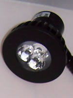 night reader is all black