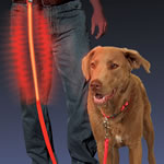 LED dog leash