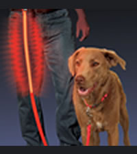 led pet leash