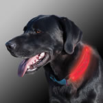 LED dog collar cover