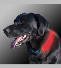 led collar cover for dogs