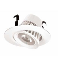 adjustable downlights